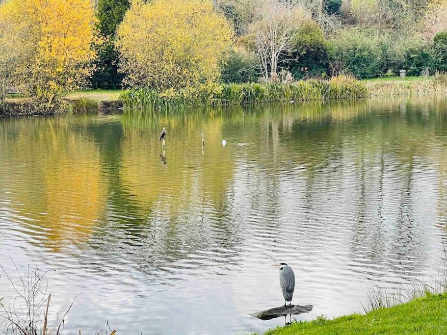 Апартаменты Masion Belle Vue Сарсель Экстерьер фото